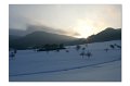 Winter M 01